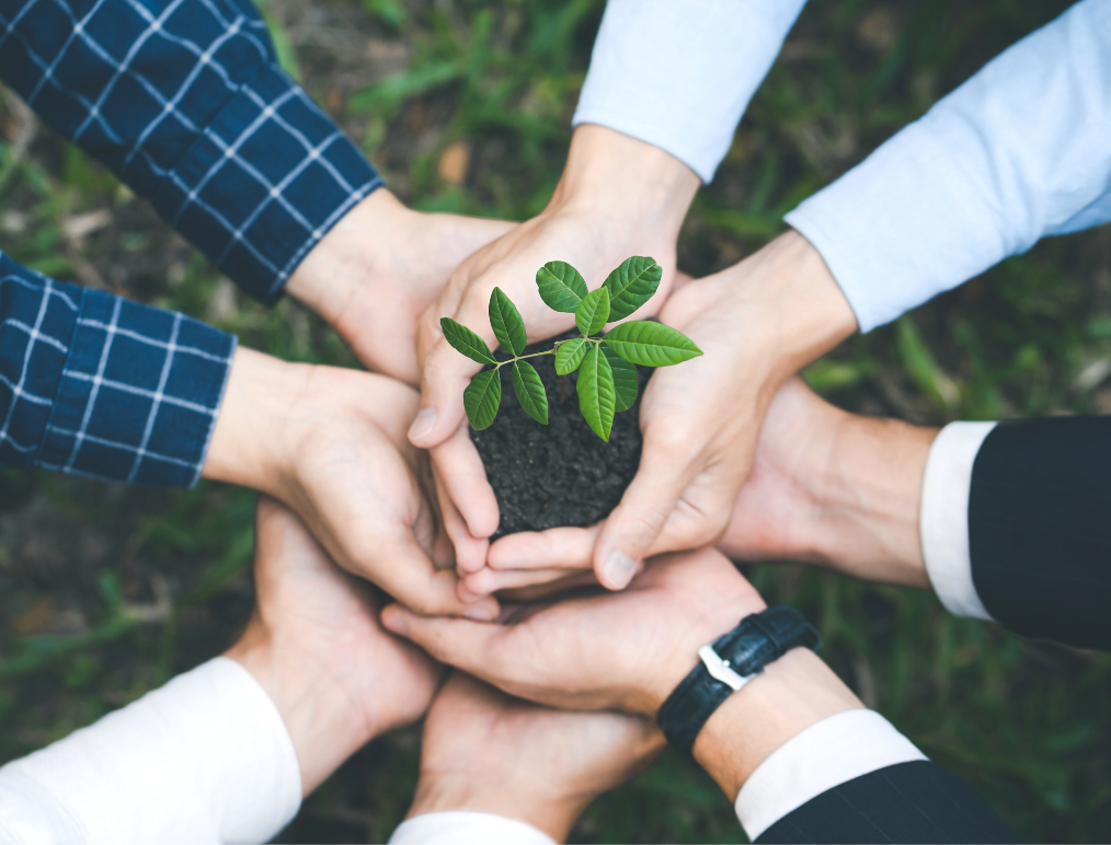 Tecrübe & Uzman Kadro