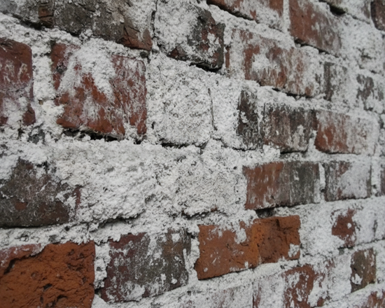 Çiçeklenme ve Tuz Temizliği