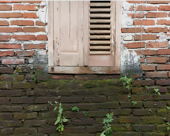 Rutubet Giderme ve Kapiler Nem Önleme