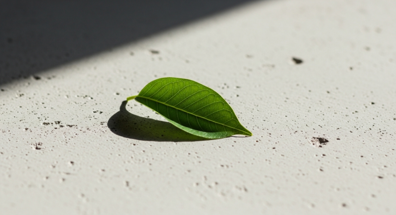 Tozuyan Beton Sorununa Kökten Çözüm: Potasyum Silikat ve BETON FIX Etkisi