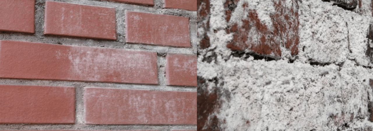 Çiçeklenme & Tuz Temizliği Ecotera Restora Desalt