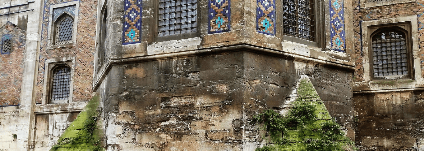 Yosun,Alg,Mantar Temizliği